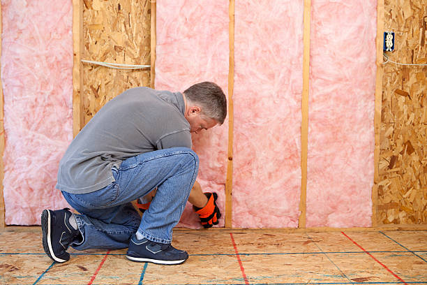 Best Fiberglass Insulation in Buckhannon, WV